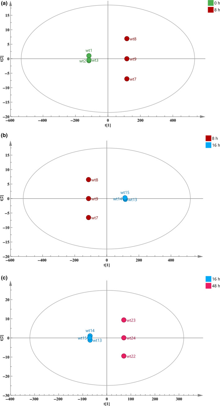 FIGURE 3