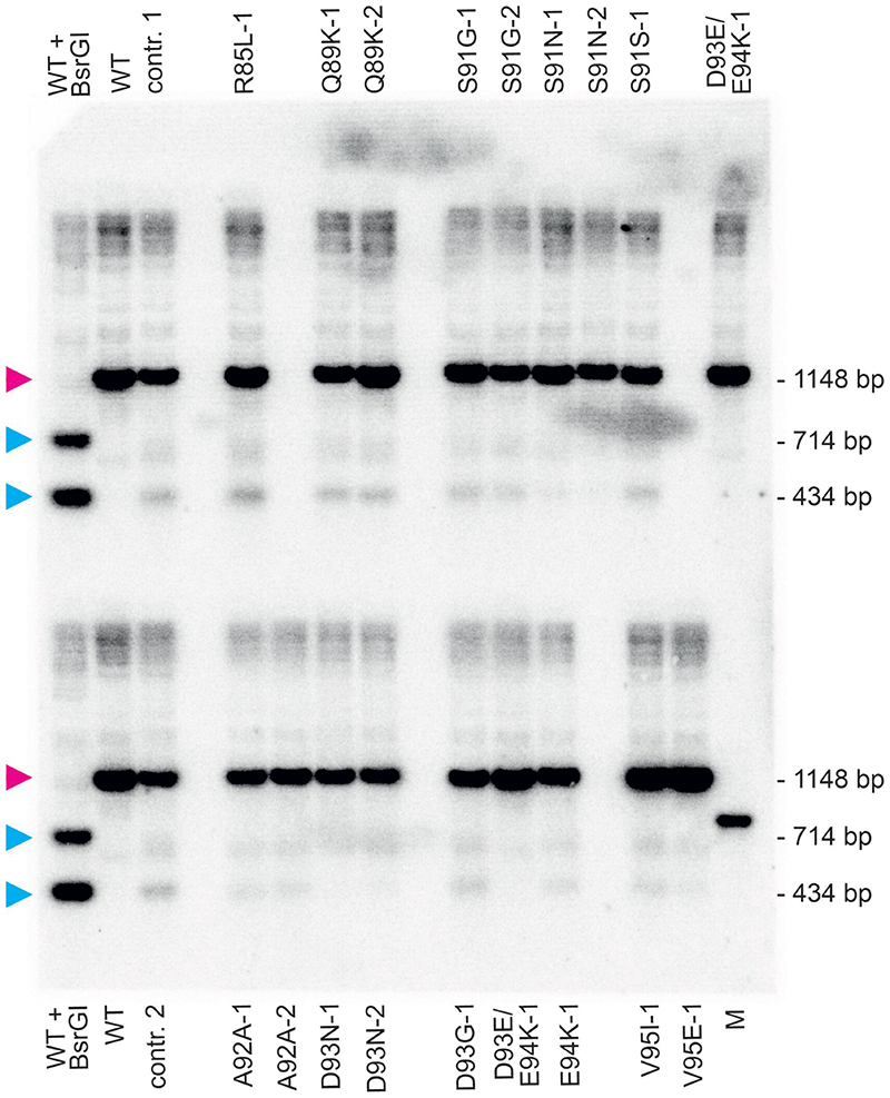 Extended Data Fig. 5