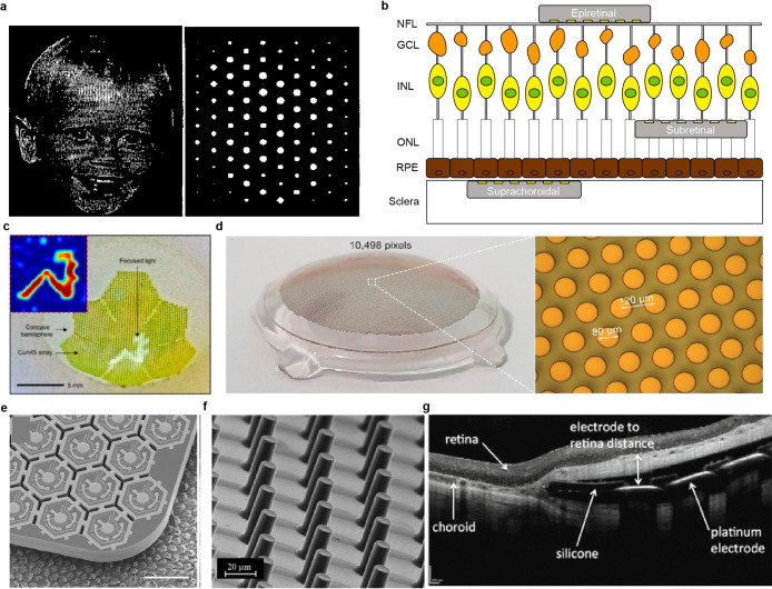 Figure 24