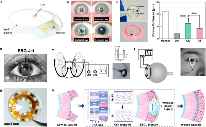 Figure 23