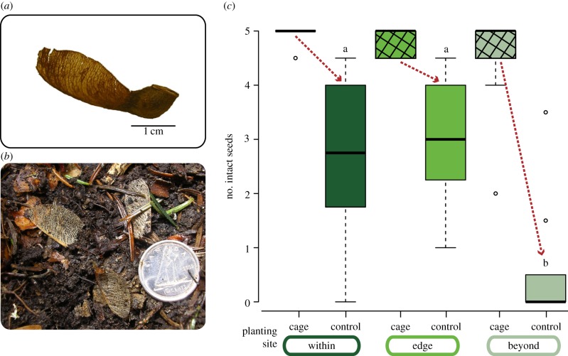 Figure 3.