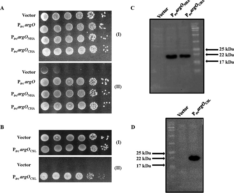 FIG 1