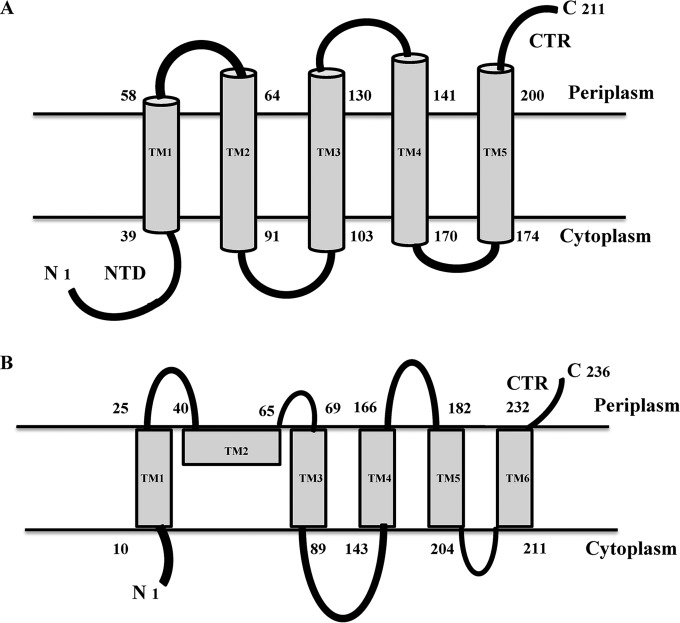 FIG 4