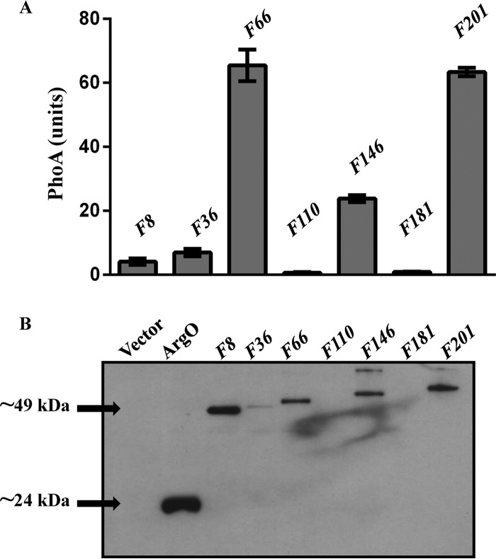 FIG 3