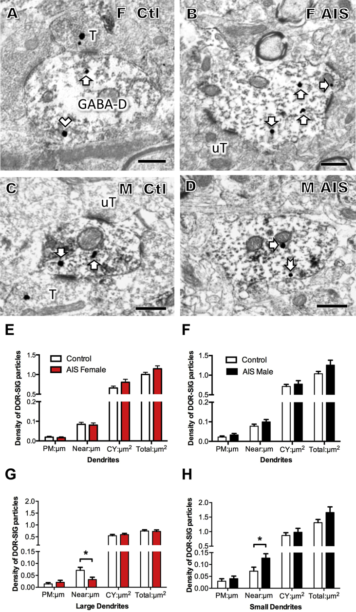 Fig. 7