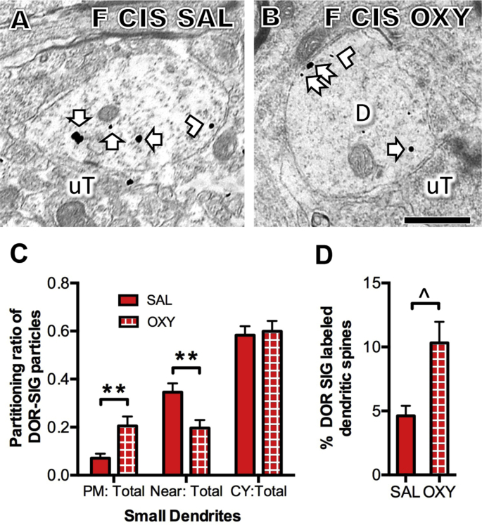 Fig. 9