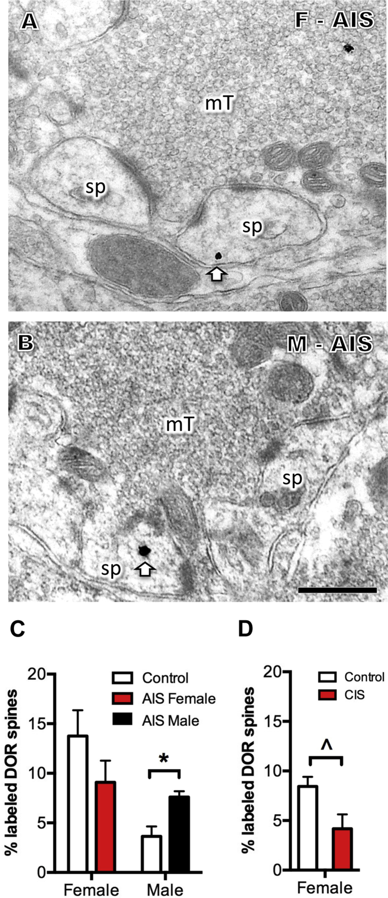 Fig. 5