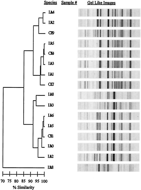 FIG. 5.