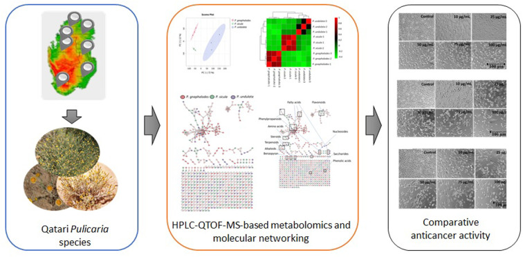 graphic file with name d5ra03980k-ga.jpg