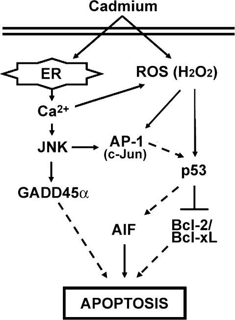 FIG. 9.