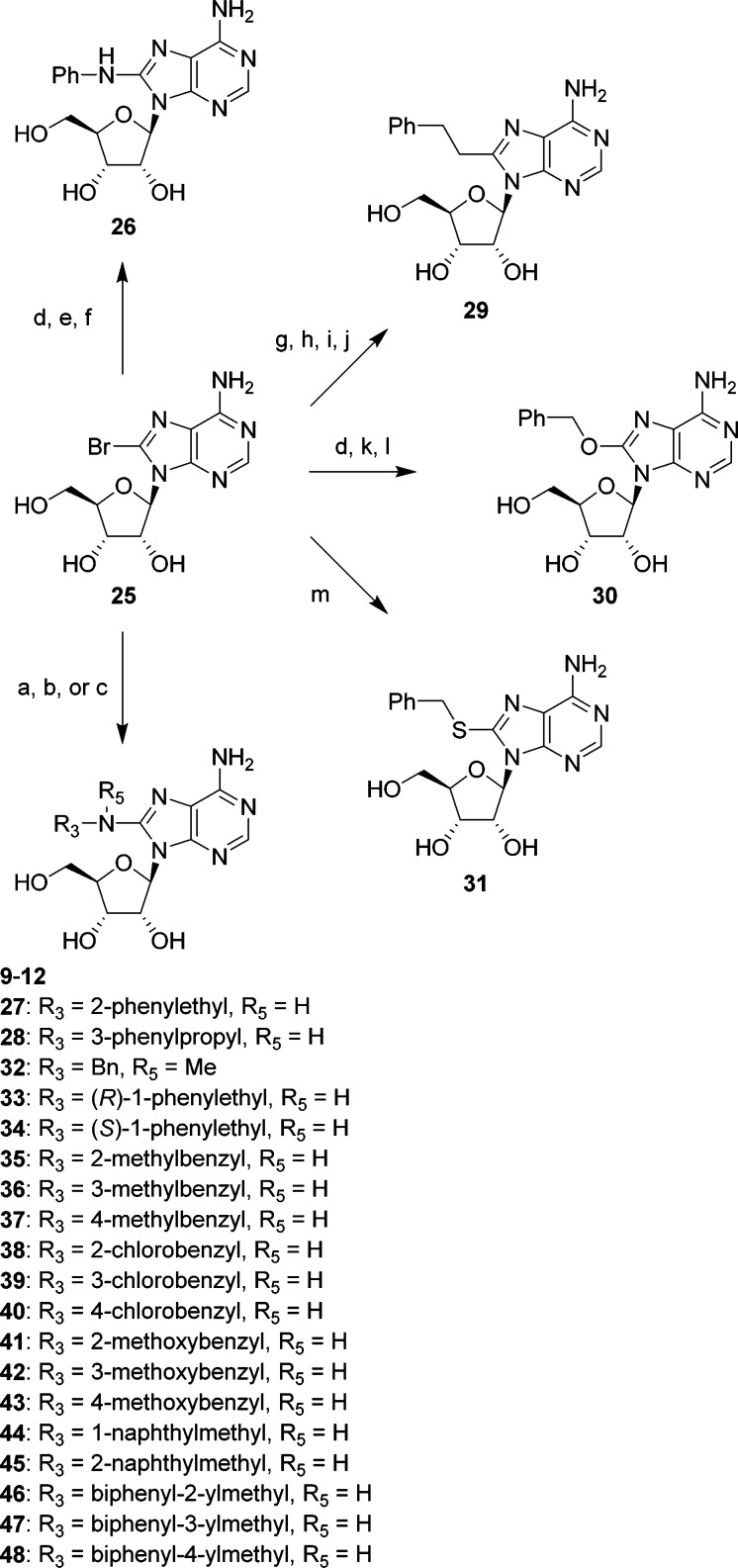 Scheme 1