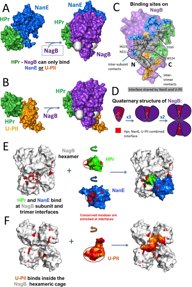 FIG 6