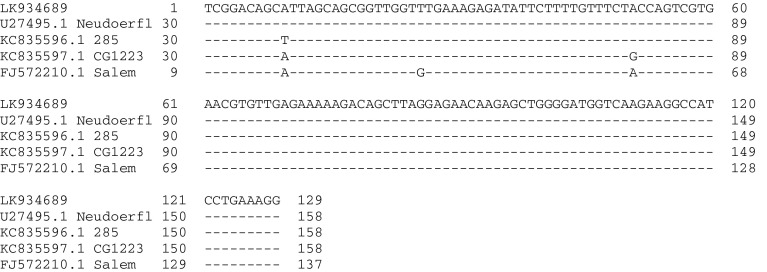 Fig. 2