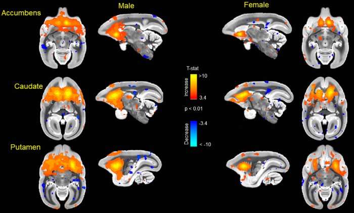 Figure 13.