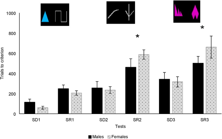 Figure 3.