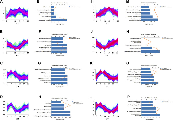 FIGURE 4