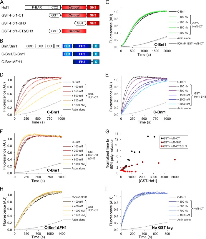 FIGURE 3: