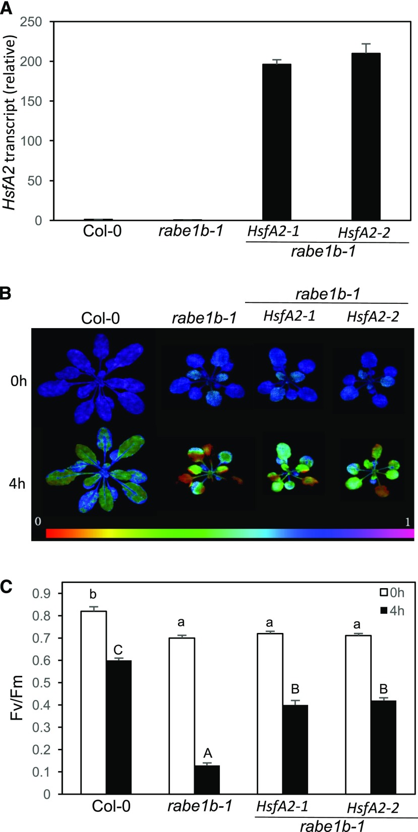 Figure 12.