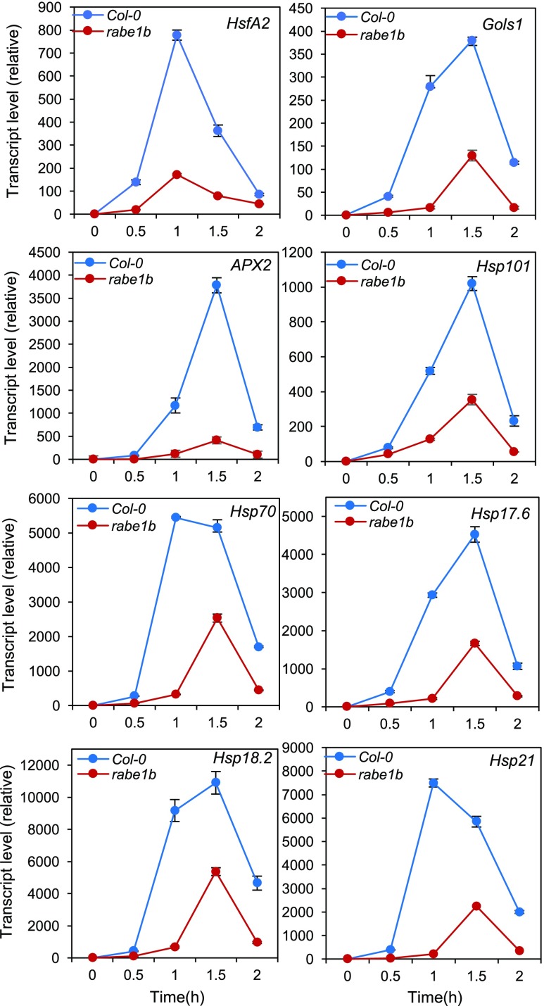 Figure 11.