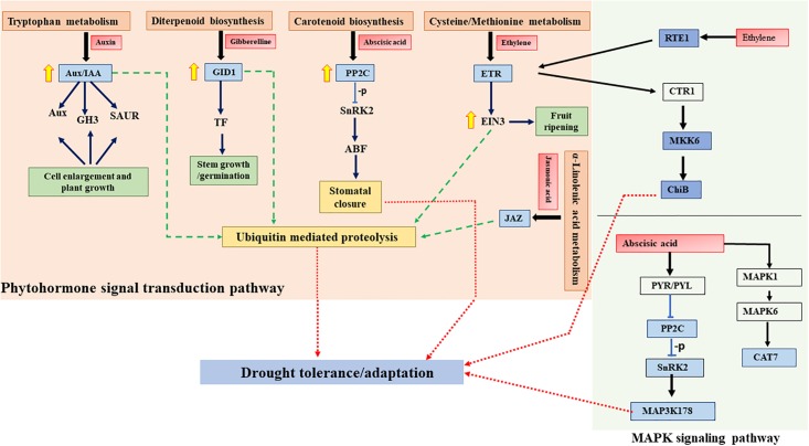 Fig 6