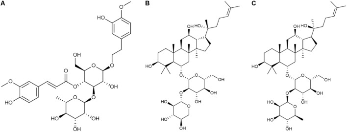 FIGURE 1