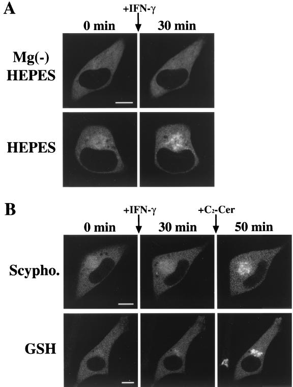 FIG. 7