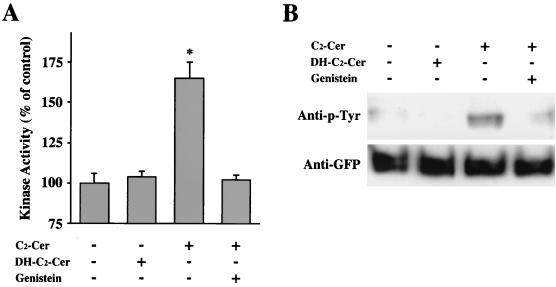 FIG. 12