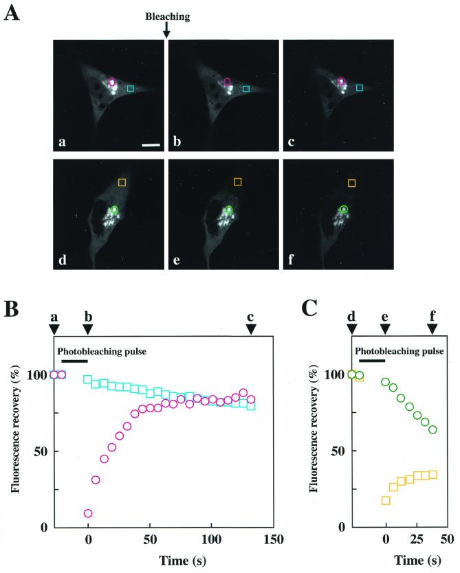 FIG. 10