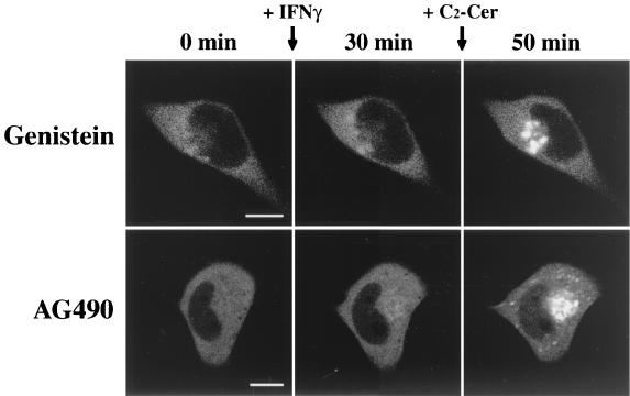 FIG. 8