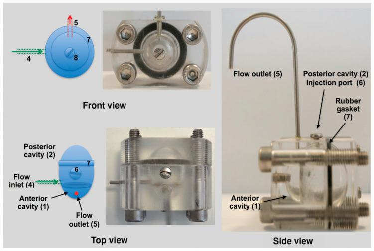 Figure 6