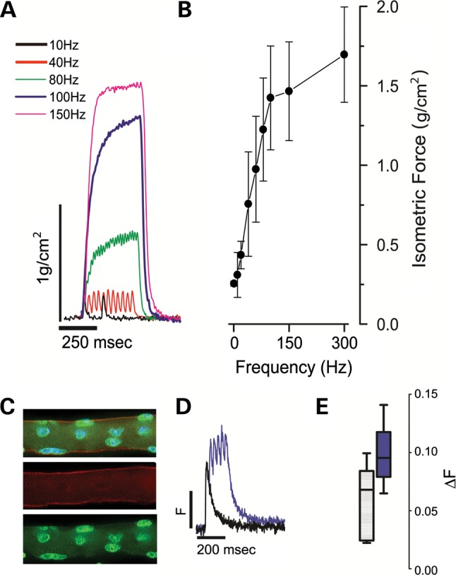 Figure 4.