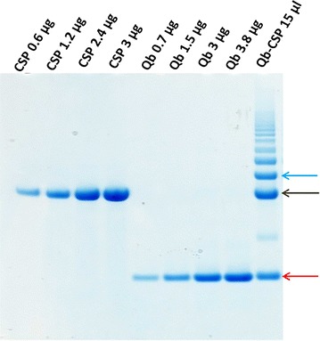 Fig. 1