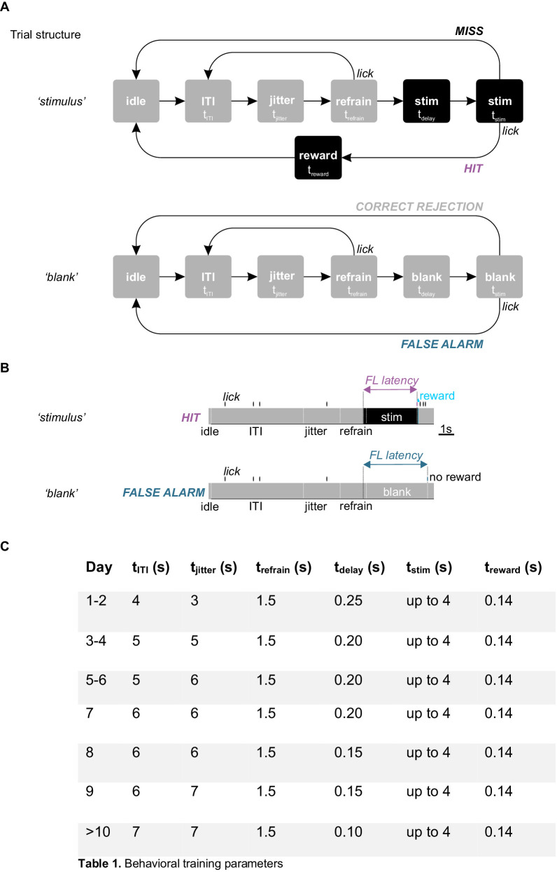 Figure 1—figure supplement 1.