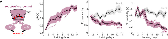 Figure 1—figure supplement 6.