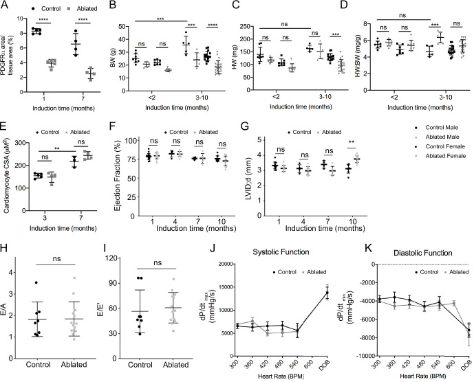 Figure 1—figure supplement 2.