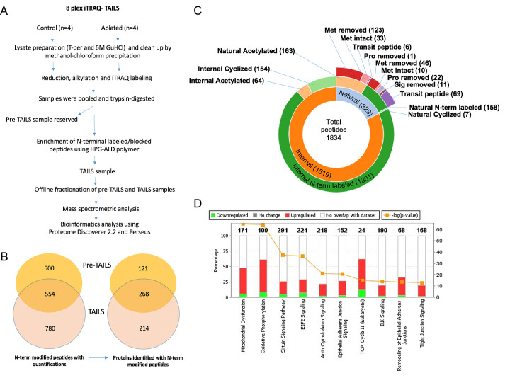 Figure 3—figure supplement 2.