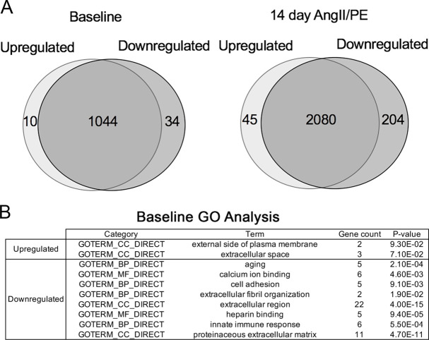 Figure 5—figure supplement 1.