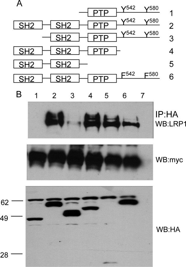 FIGURE 7.