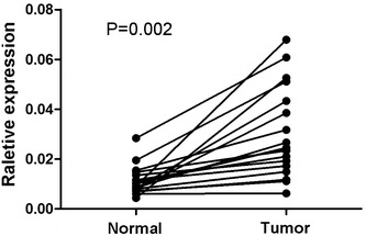 Fig. 2