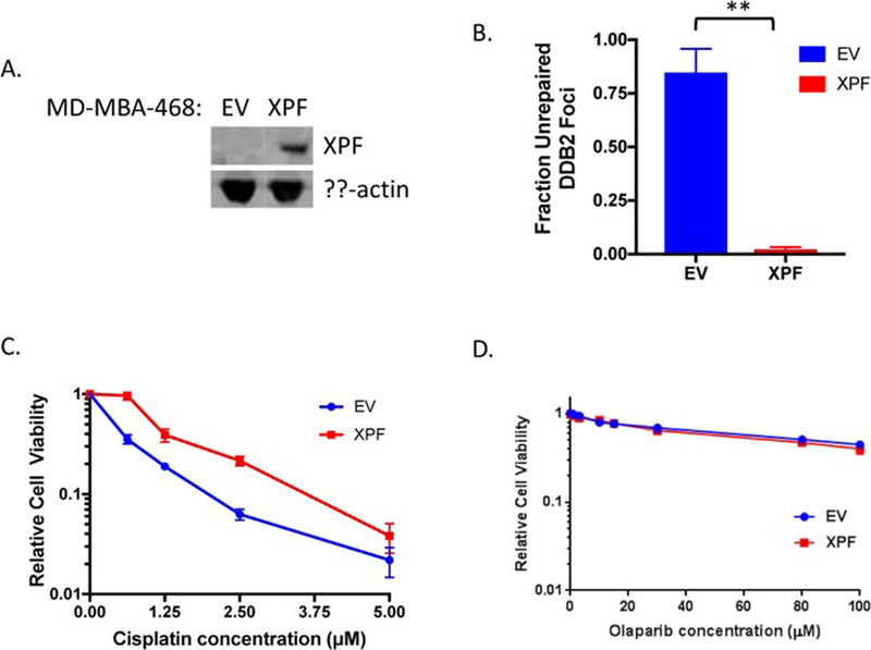 Figure 5: