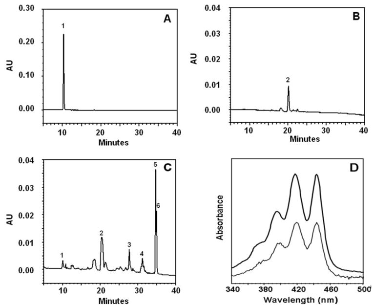 FIGURE 9