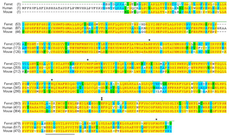 FIGURE 2