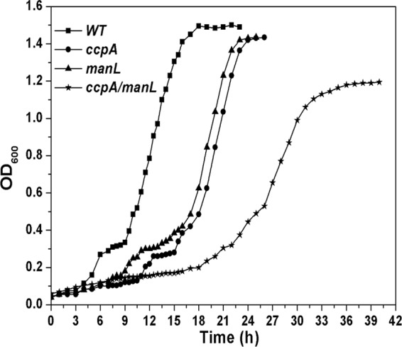 Fig 4