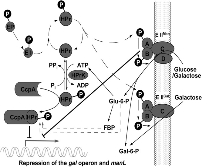 Fig 6