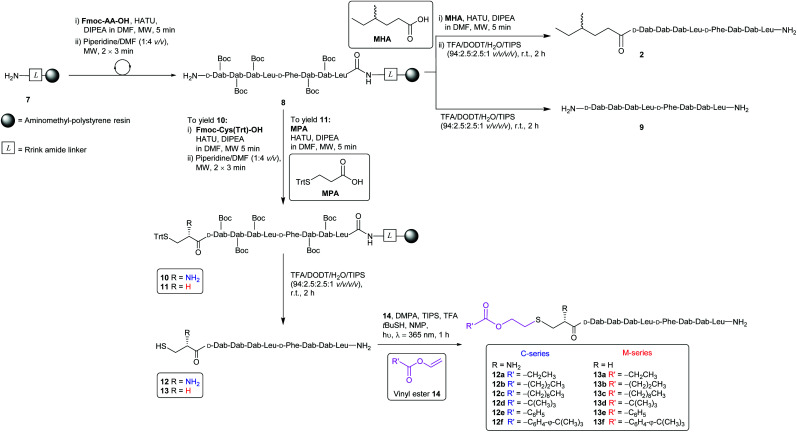 Scheme 2