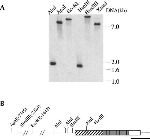 FIGURE 1.