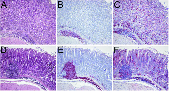 FIG. 5.