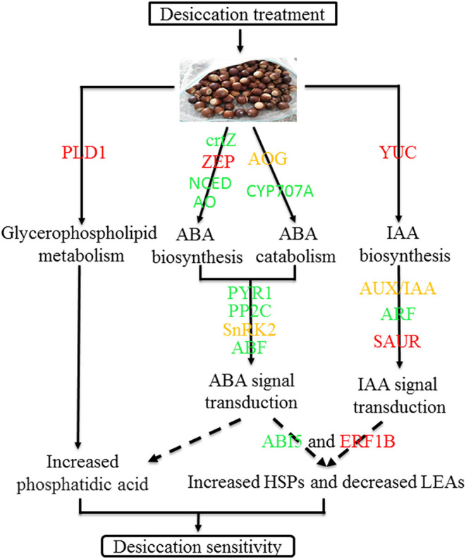 Figure 11