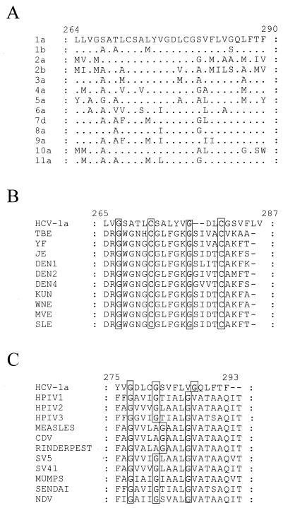 FIG. 6