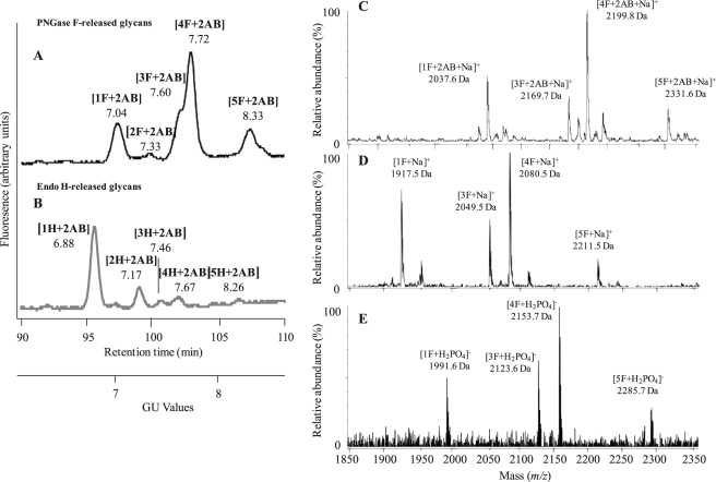 FIGURE 1.